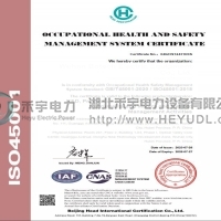 ISO45001 英文